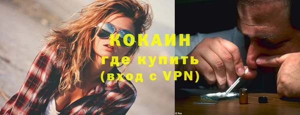 индика Арсеньев