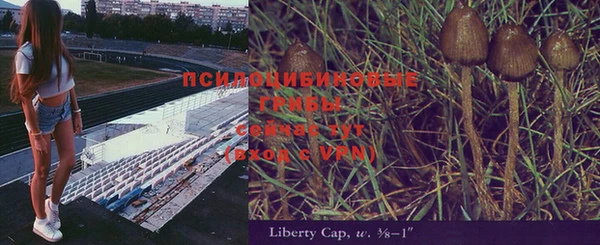 индика Арсеньев