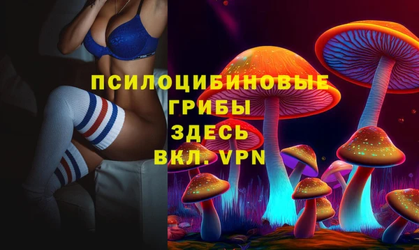 дмт Алексеевка