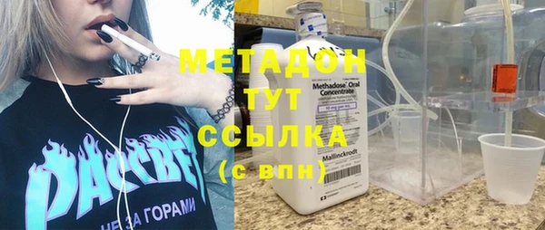 индика Арсеньев