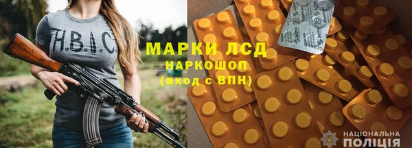 индика Арсеньев